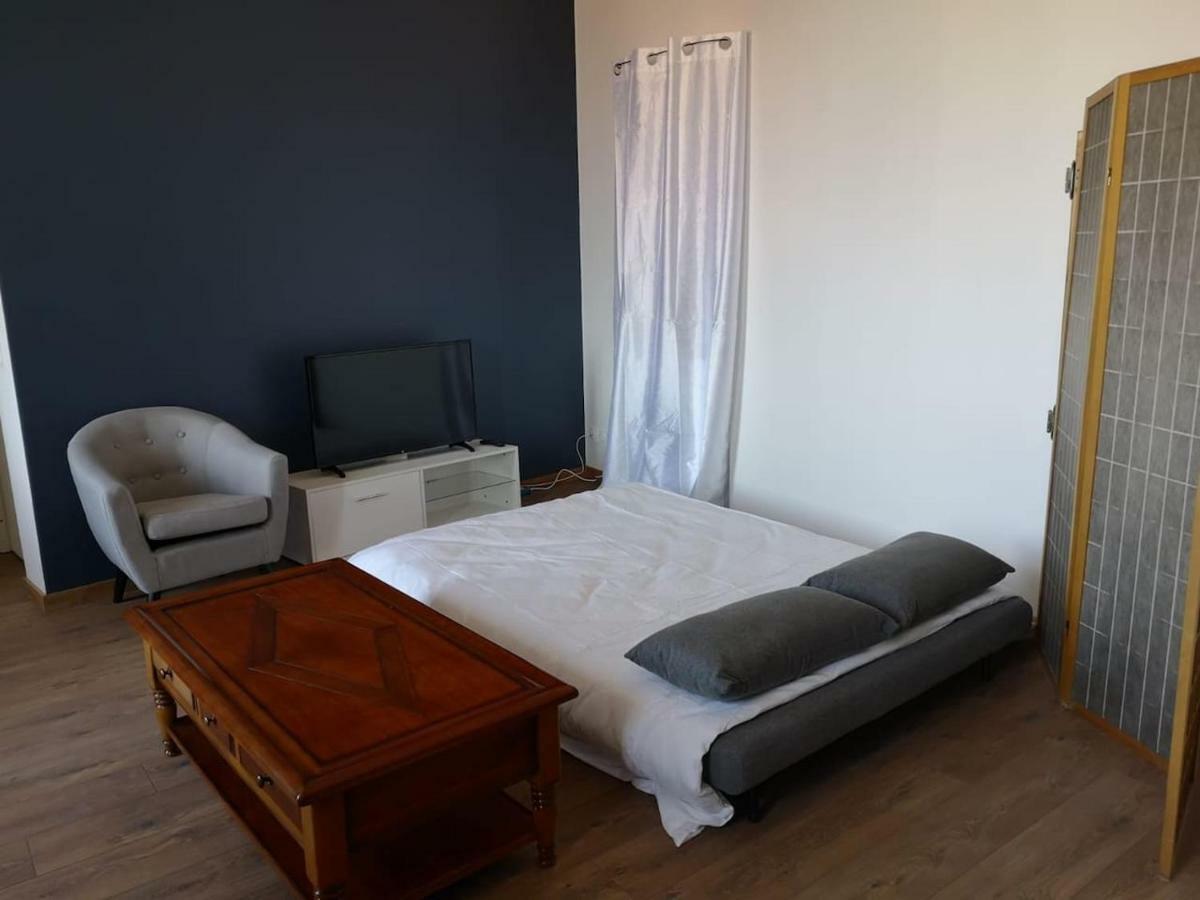 Appartement Spacieux Et Confortable La Roche-de-Glun ภายนอก รูปภาพ